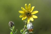 09-04-2008 : 03, Arrêt nø8, Piketberg, bord de route