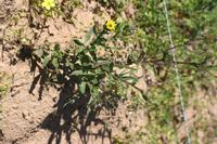 09-04-2008 : 03, Arrêt nø8, Piketberg, bord de route