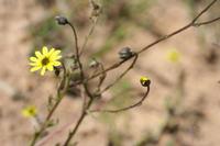 09-04-2008 : 03, Arrêt nø7, vers Malmesbury, bords de la N 7
