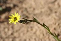 09-04-2008 : 03, Arrêt nø7, vers Malmesbury, bords de la N 7