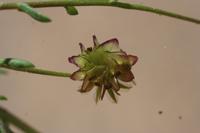 09-07-2008 : 06, Arrêt nø20, Garies