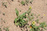 09-07-2008 : 06, Arrêt nø20, Garies