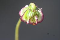 09-07-2008 : 06, Arrêt nø20, Garies