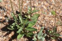 09-07-2008 : 06, Arrêt nø20, Garies