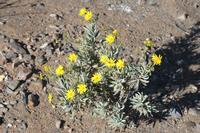 09-11-2008 : 10, Arrêt nø49, Colline avec château d'eau à Rosh Pinah