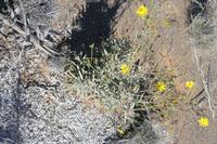 09-11-2008 : 10, Arrêt nø49, Colline avec château d'eau à Rosh Pinah