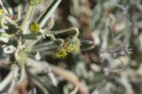 09-11-2008 : 10, Arrêt nø49, Colline avec château d'eau à Rosh Pinah