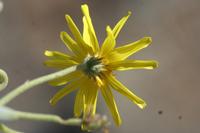 09-11-2008 : 10, Arrêt nø49, Colline avec château d'eau à Rosh Pinah