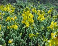 06-10-2001 : Tenerife, Jour 01, El Portillo JB, las Cañadas