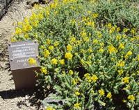 06-10-2001 : Tenerife, Jour 01, El Portillo JB, las Cañadas
