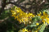 05-27-2009 : La Palma, Jour 05, Roque de los muchachos, Caldera de Taburiente, Observatoires, El Time