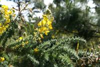 05-27-2009 : La Palma, Jour 05, Roque de los muchachos, Caldera de Taburiente, Observatoires, El Time