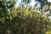 05-27-2009 : La Palma, Jour 05, Roque de los muchachos, Caldera de Taburiente, Observatoires, El Time