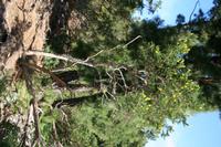 05-27-2009 : La Palma, Jour 05, Roque de los muchachos, Caldera de Taburiente, Observatoires, El Time