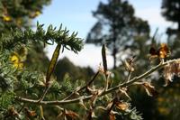 05-27-2009 : La Palma, Jour 05, Roque de los muchachos, Caldera de Taburiente, Observatoires, El Time