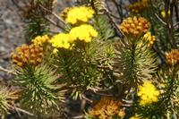 06-01-2009 : La Gomera, Jour 03, Ermita El Santo, Chipude, La Fortaleza