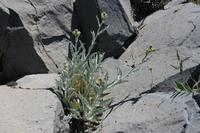 05-27-2009 : La Palma, Jour 05, Roque de los muchachos, Caldera de Taburiente, Observatoires, El Time