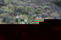 05-30-2009 : La Gomera, Jour 01, avant le tunnel, Parque de Garajonay, El Bailadero, Los Roques