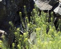 06-10-2001 : Tenerife, Jour 01, El Portillo JB, las Cañadas