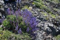 05-27-2009 : La Palma, Jour 05, Roque de los muchachos, Caldera de Taburiente, Observatoires, El Time