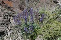 05-27-2009 : La Palma, Jour 05, Roque de los muchachos, Caldera de Taburiente, Observatoires, El Time