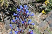 05-27-2009 : La Palma, Jour 05, Roque de los muchachos, Caldera de Taburiente, Observatoires, El Time