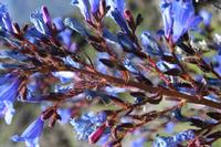 05-27-2009 : La Palma, Jour 05, Roque de los muchachos, Caldera de Taburiente, Observatoires, El Time
