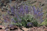 05-27-2009 : La Palma, Jour 05, Roque de los muchachos, Caldera de Taburiente, Observatoires, El Time