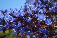 05-27-2009 : La Palma, Jour 05, Roque de los muchachos, Caldera de Taburiente, Observatoires, El Time