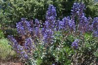 05-27-2009 : La Palma, Jour 05, Roque de los muchachos, Caldera de Taburiente, Observatoires, El Time