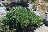 05-27-2009 : La Palma, Jour 05, Roque de los muchachos, Caldera de Taburiente, Observatoires, El Time