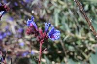 05-27-2009 : La Palma, Jour 05, Roque de los muchachos, Caldera de Taburiente, Observatoires, El Time