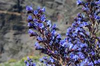 05-27-2009 : La Palma, Jour 05, Roque de los muchachos, Caldera de Taburiente, Observatoires, El Time