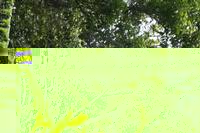 05-28-2009 : La Palma, Jour 06, Cubo de la Galga, Playa de Nogales