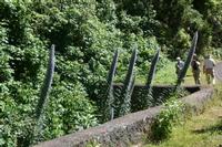 05-29-2009 : La Palma, Jour 07, Barlovento, Fuente de los Poleos
