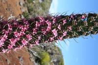 05-27-2009 : La Palma, Jour 05, Roque de los muchachos, Caldera de Taburiente, Observatoires, El Time