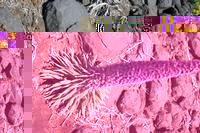 05-27-2009 : La Palma, Jour 05, Roque de los muchachos, Caldera de Taburiente, Observatoires, El Time