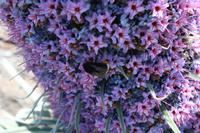 05-27-2009 : La Palma, Jour 05, Roque de los muchachos, Caldera de Taburiente, Observatoires, El Time