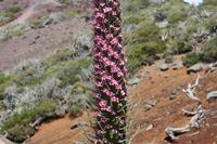 05-27-2009 : La Palma, Jour 05, Roque de los muchachos, Caldera de Taburiente, Observatoires, El Time