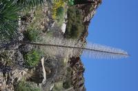 06-04-2009 : Tenerife, Jour 02, El Portillo JB, las Cañadas, Caldera du Teide