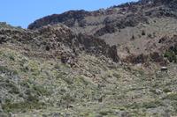 06-04-2009 : Tenerife, Jour 02, El Portillo JB, las Cañadas, Caldera du Teide