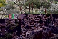 06-04-2009 : Tenerife, Jour 02, El Portillo JB, las Cañadas, Caldera du Teide