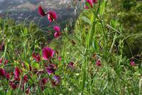05-27-2009 : La Palma, Jour 05, Roque de los muchachos, Caldera de Taburiente, Observatoires, El Time
