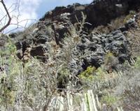 06-12-2001 : Tenerife, Jour 03, Barranco del infernio près d'Adeje
