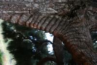 05-23-2009 : La Palma, Jour 01, Breña Baja, Mazo, la Montaña