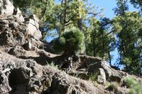 05-27-2009 : La Palma, Jour 05, Roque de los muchachos, Caldera de Taburiente, Observatoires, El Time