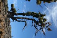 05-27-2009 : La Palma, Jour 05, Roque de los muchachos, Caldera de Taburiente, Observatoires, El Time