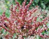 06-10-2001 : Tenerife, Jour 01, El Portillo JB, las Cañadas