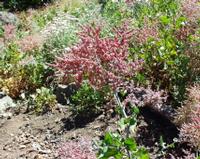 06-10-2001 : Tenerife, Jour 01, El Portillo JB, las Cañadas