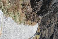 06-03-2009 : Tenerife, Jour 01, Garachico, Montaña de Taco, Punta de Teno, Masca